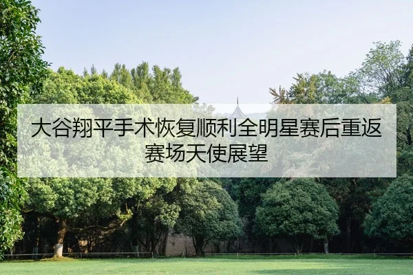 da-gu-xiang-ping-shou-shu-hui-fu-shun-li-quan-ming-xing-sai-hou-chong-fan-sai-chang-tian-shi-zhan-wang-2-179.jpg